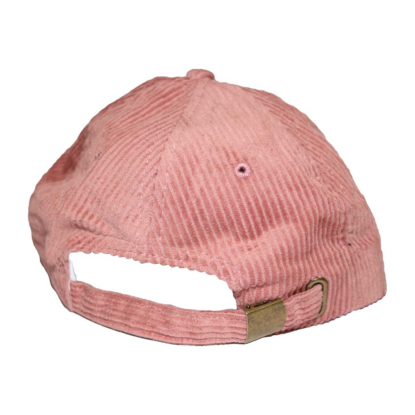 Walrus 6 Panel
